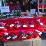 Domenica11 dicembre stand dell'associazione presso Il Centro commerciale Superstore di Vasto