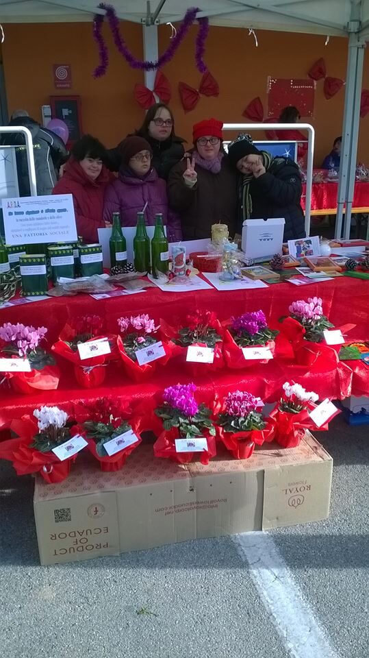 12360243_1031460940208185_3034062079082086545_n