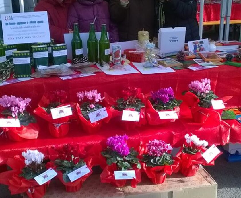 12360243_1031460940208185_3034062079082086545_n