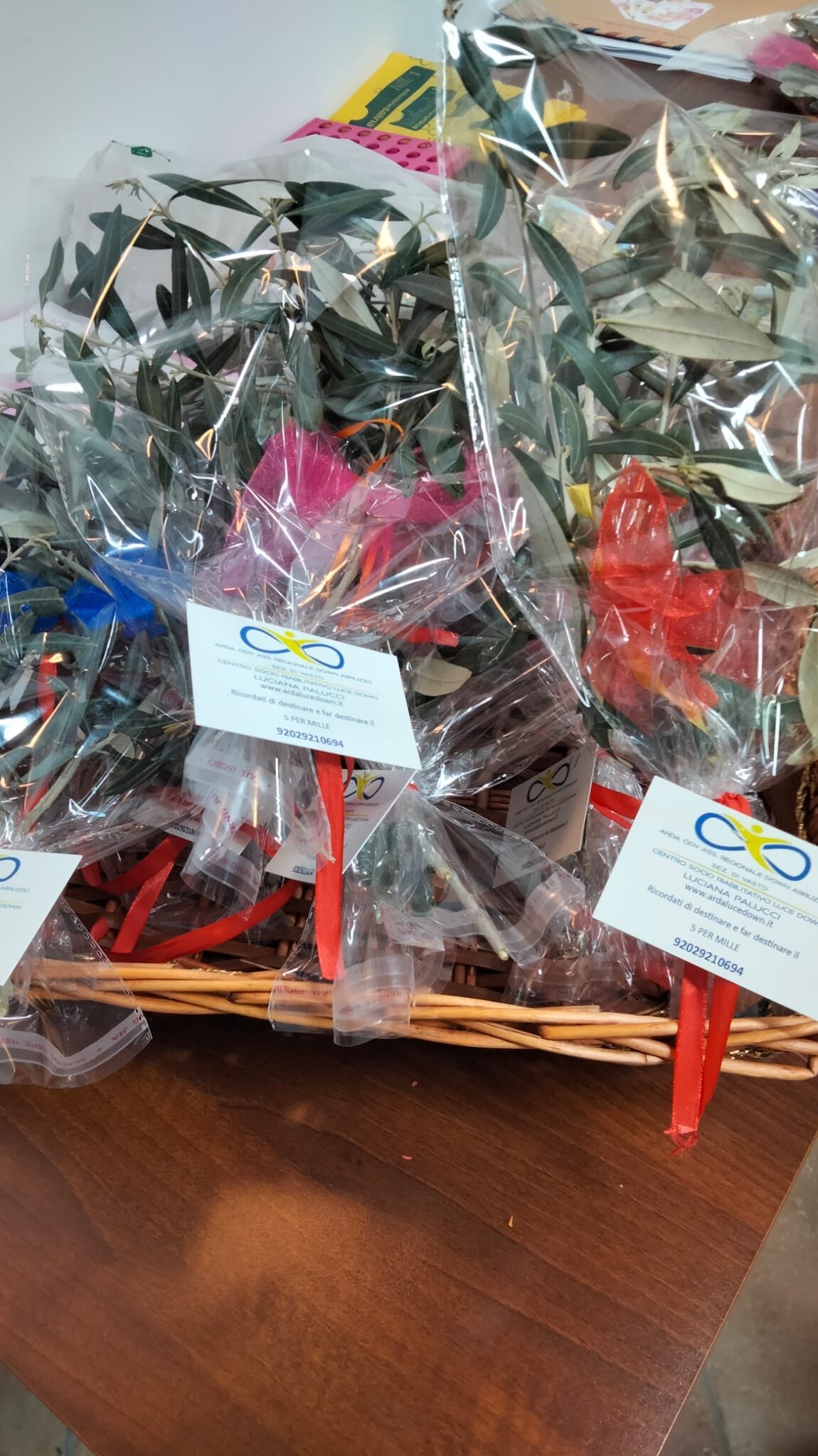 434060479 7257162017738200 6805708442142793880 N