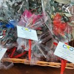 Ci si prepara per la domenica delle palme